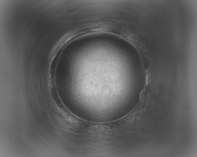 X0000067830339200604201221