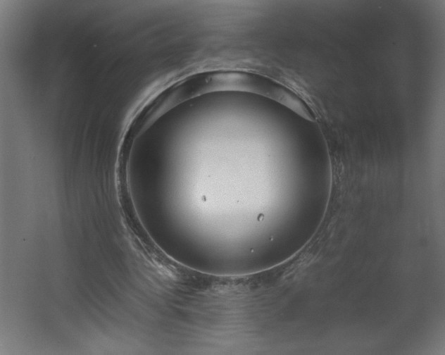 X0000067830340200604201221