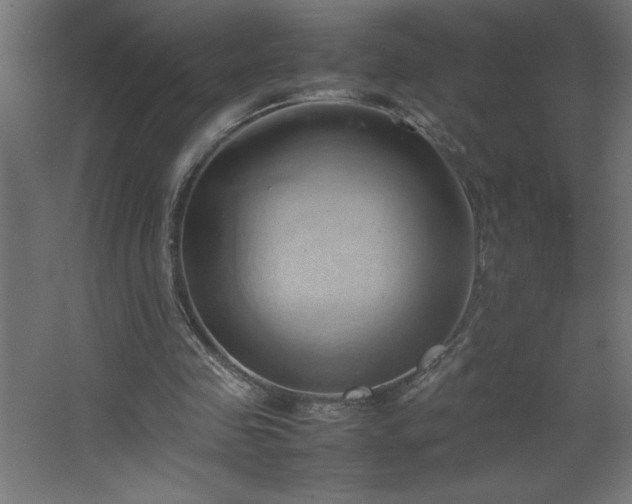 X0000067830341200604201221