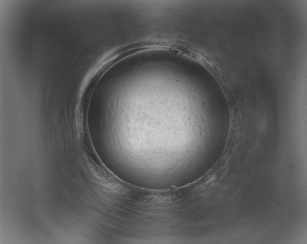 X0000067830343200604201221