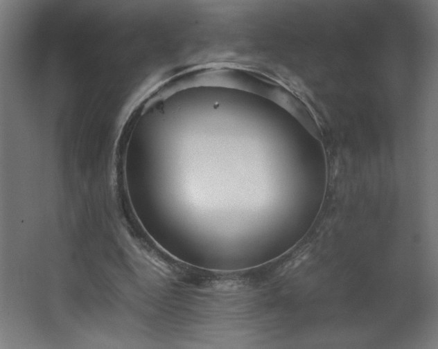 X0000067830344200604201221