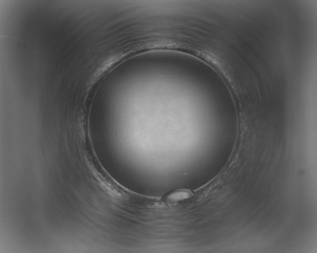 X0000067830345200604201221