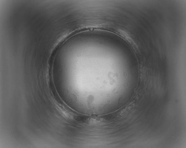 X0000067830346200604201221