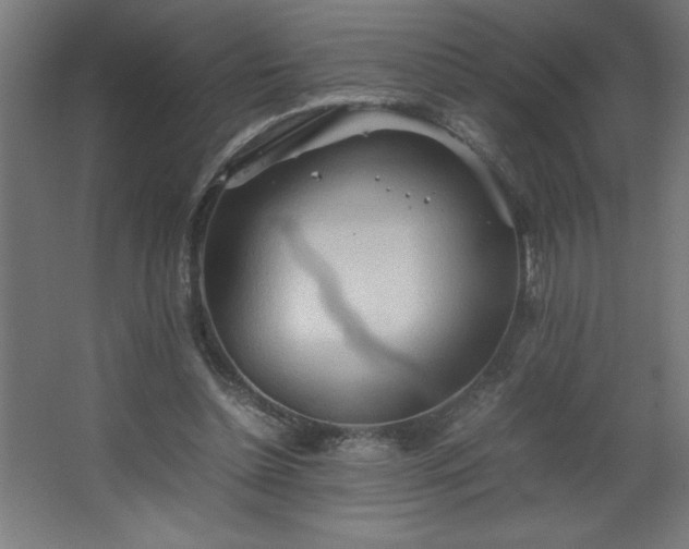 X0000067830348200604201221