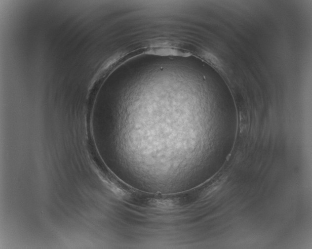 X0000067830349200604201221