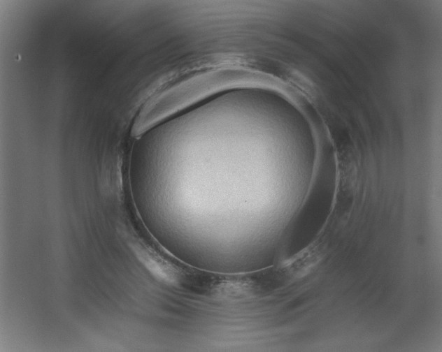 X0000067830350200604201221