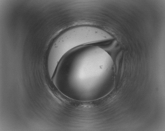 X0000067830352200604201221