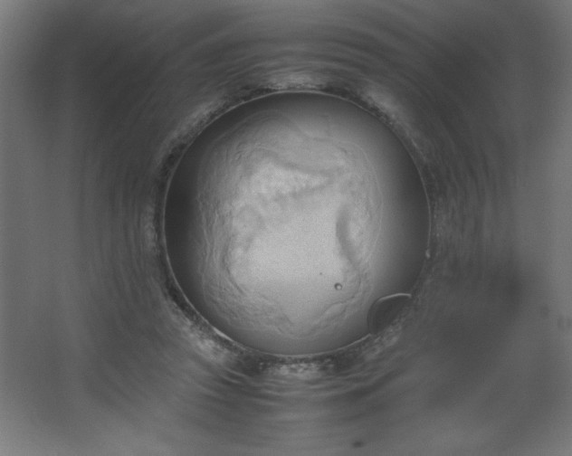 X0000067830353200604201221