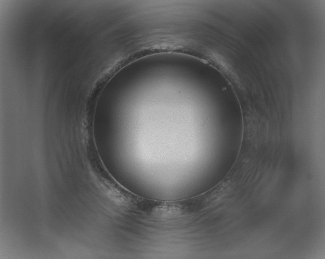 X0000067830354200604201221