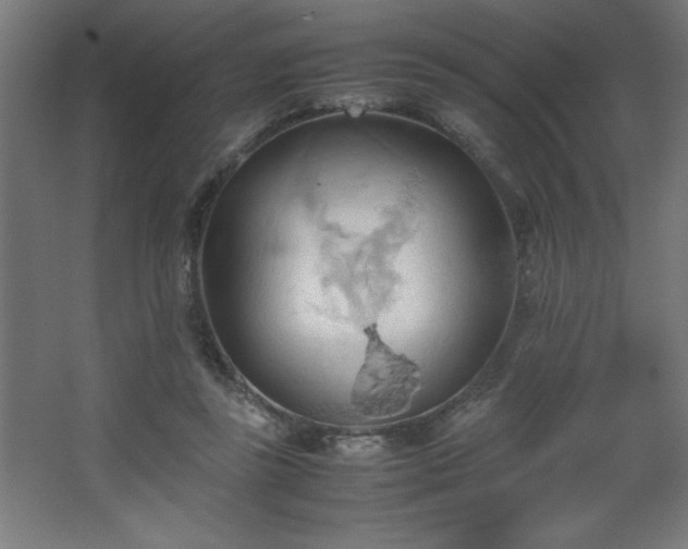 X0000067830355200604201221