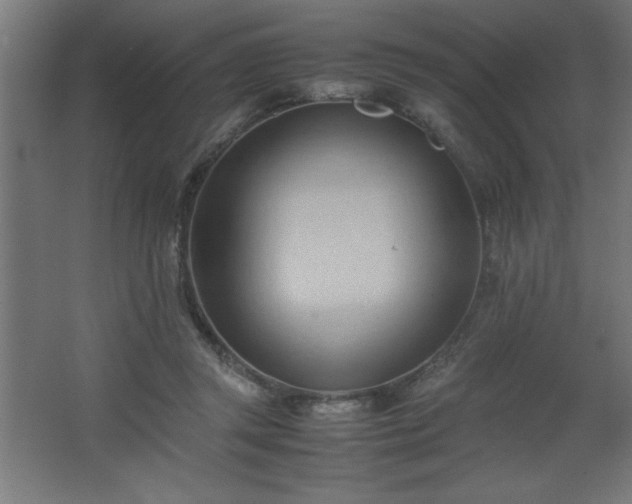 X0000067830357200604201221