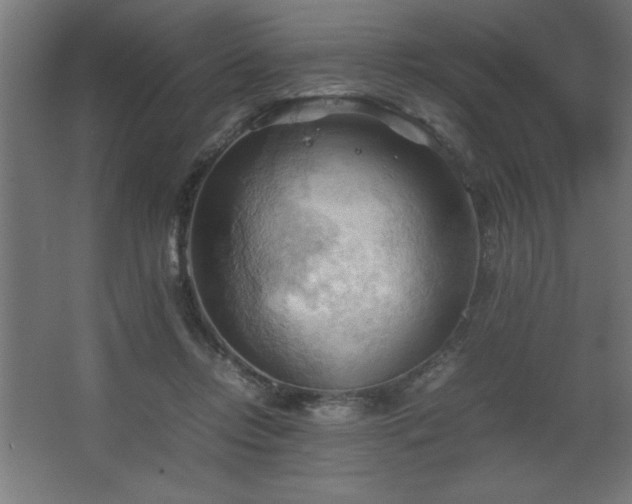 X0000067830358200604201221