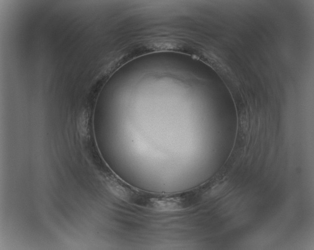 X0000067830359200604201221