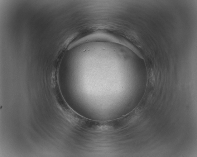 X0000067830360200604201221