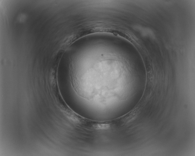 X0000067830361200604201221