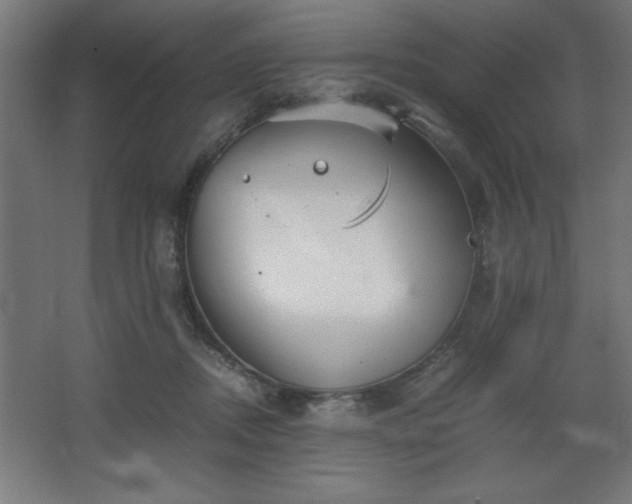 X0000067830362200604201221