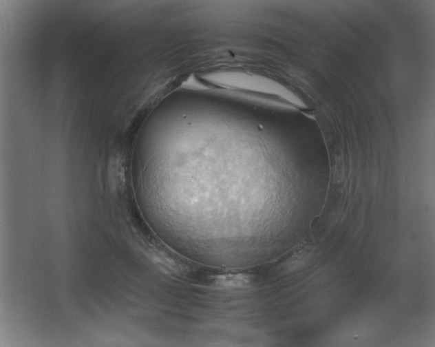 X0000067830363200604201221