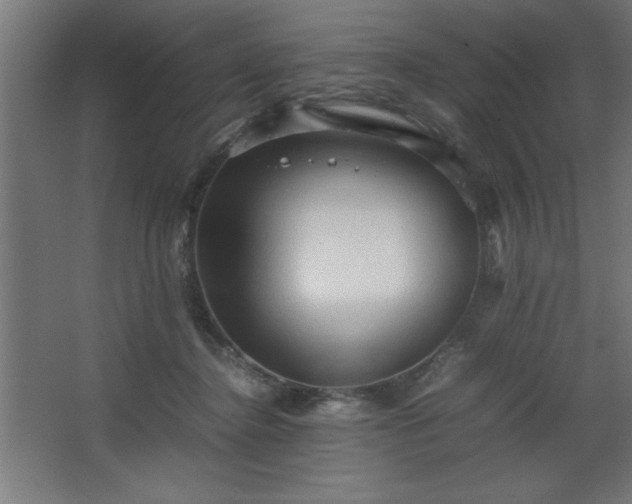 X0000067830364200604201221