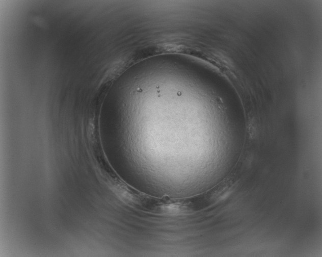 X0000067830365200604201221