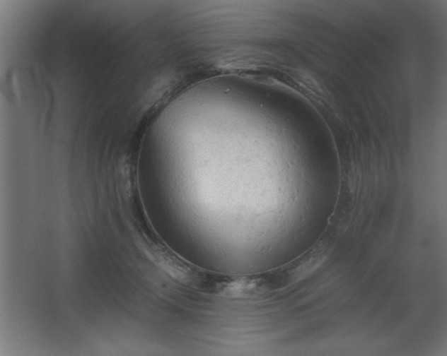 X0000067830366200604201221