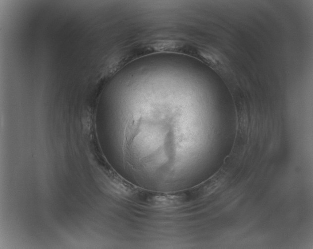 X0000067830367200604201221