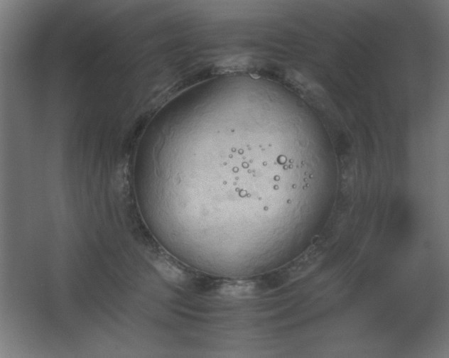 X0000067830369200604201221