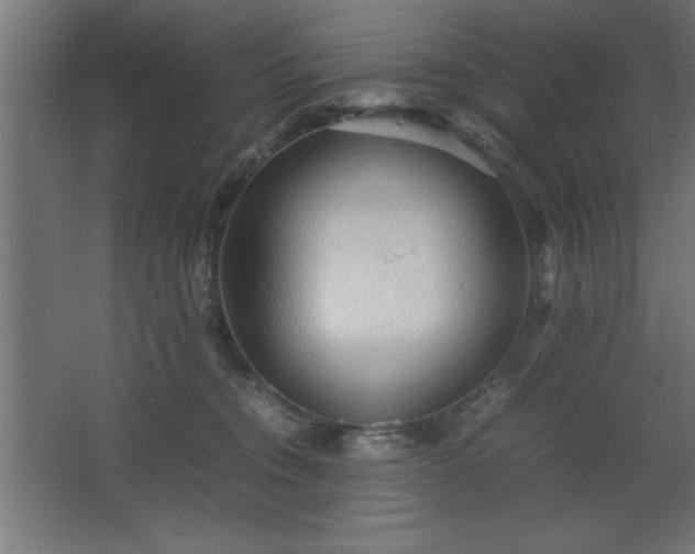 X0000067830372200604201222