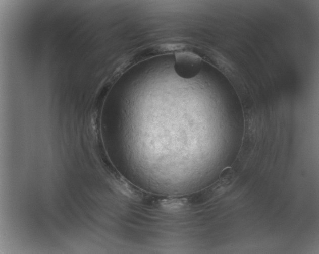 X0000067830373200604201222