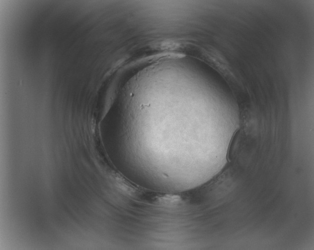 X0000067830374200604201222