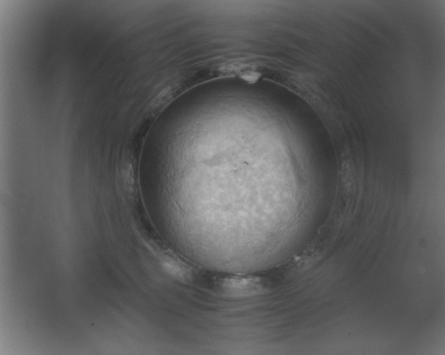 X0000067830375200604201222