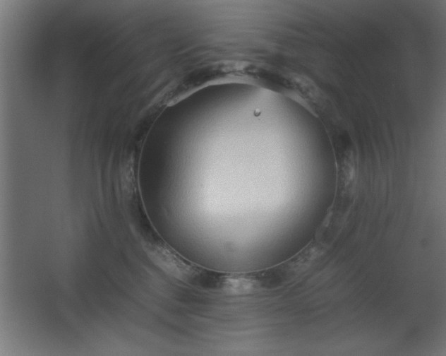 X0000067830376200604201222