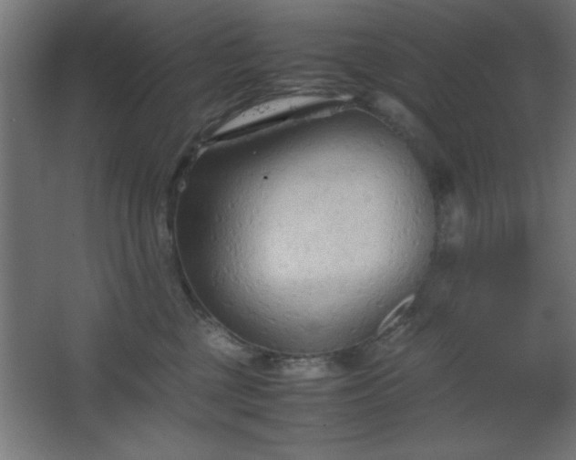 X0000067830377200604201222