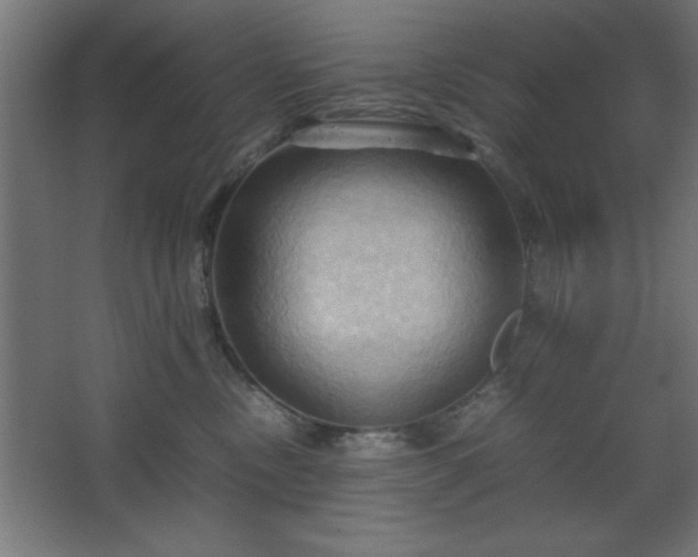 X0000067830378200604201222