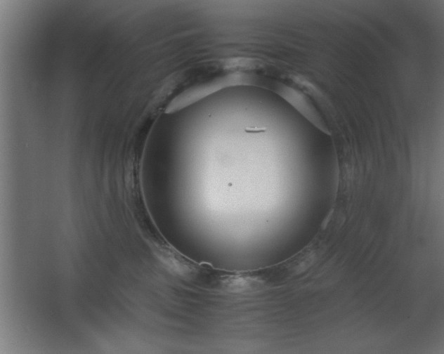 X0000067830379200604201222