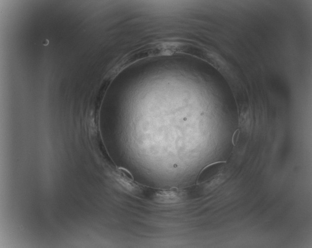 X0000067830381200604201222