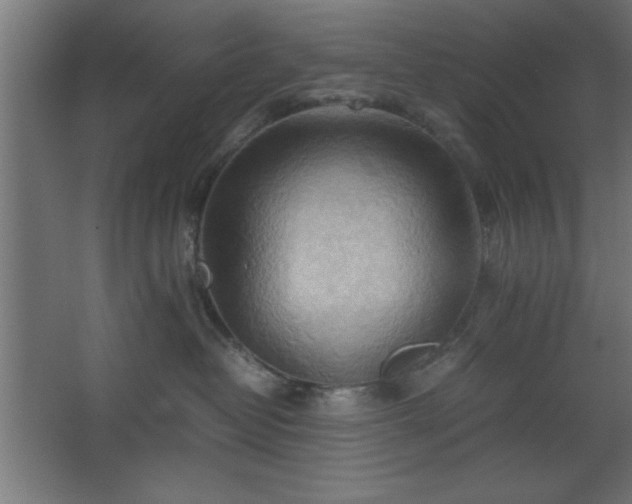 X0000067830382200604201222