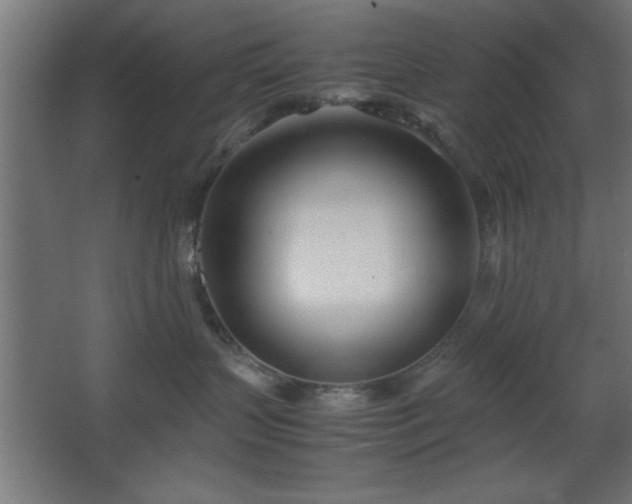 X0000067830383200604201222