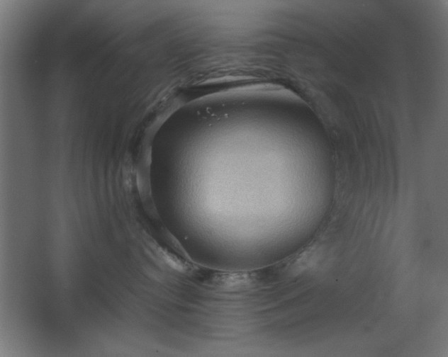 X0000067830384200604201222