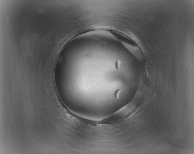 X0000067830385200604201221