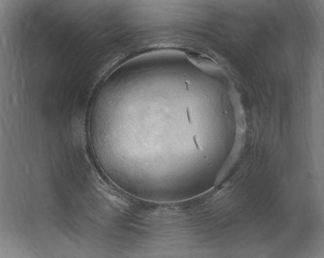 X0000067830386200604201221