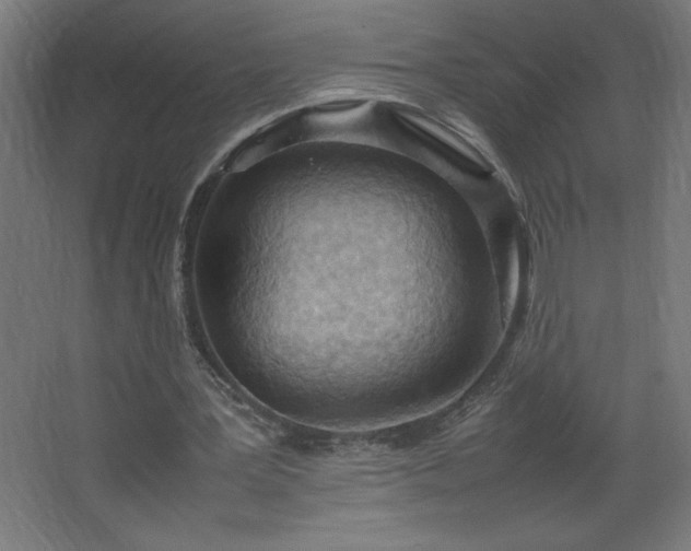 X0000067830387200604201221