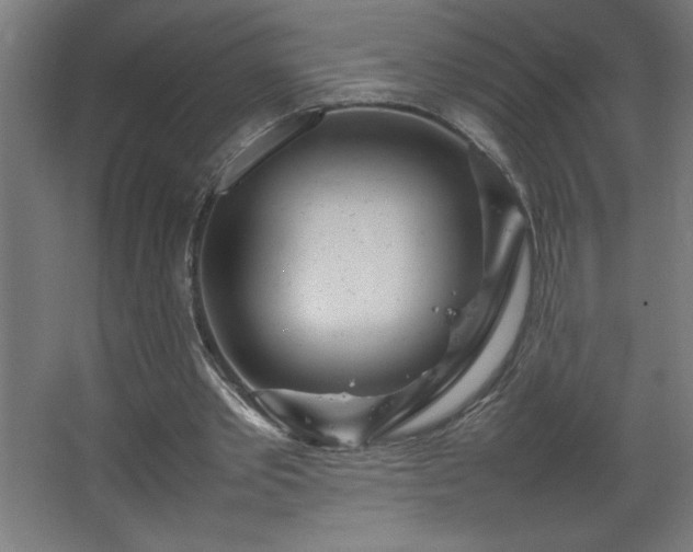 X0000067830389200604201221