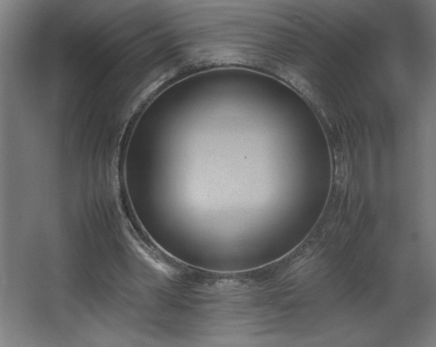 X0000067830390200604201221