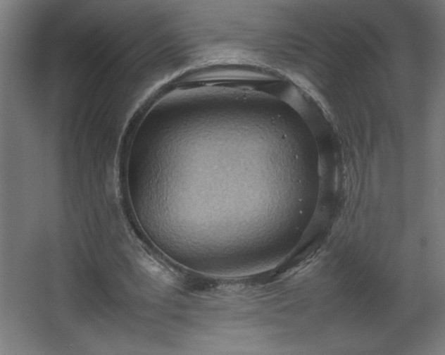 X0000067830391200604201221