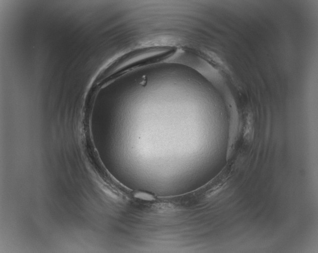 X0000067830392200604201221