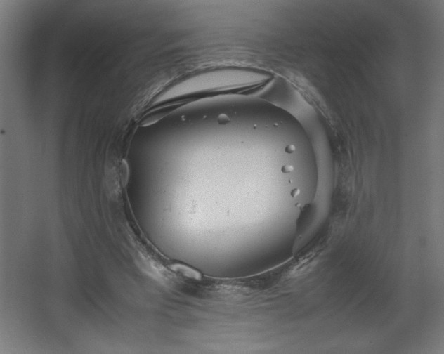 X0000067830393200604201221