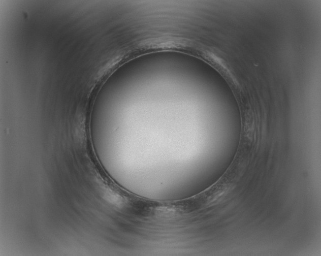 X0000067830394200604201221