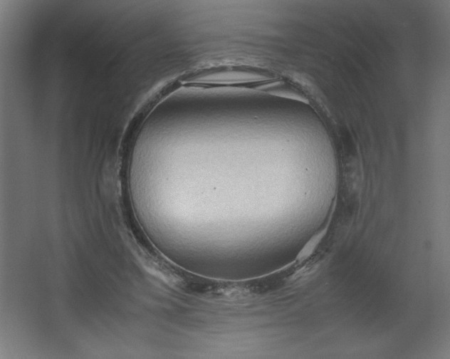 X0000067830395200604201221