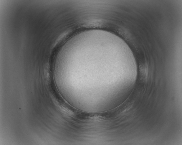 X0000067830396200604201221