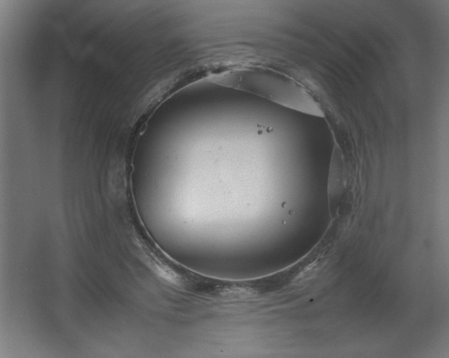 X0000067830397200604201221